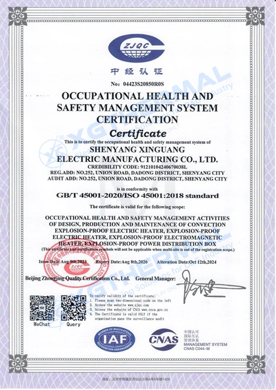ISO 45001 · Occupational health & safety, document 2