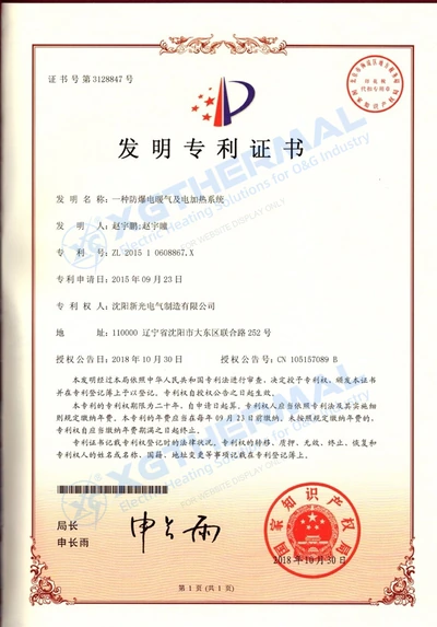 Invention patent, document 3