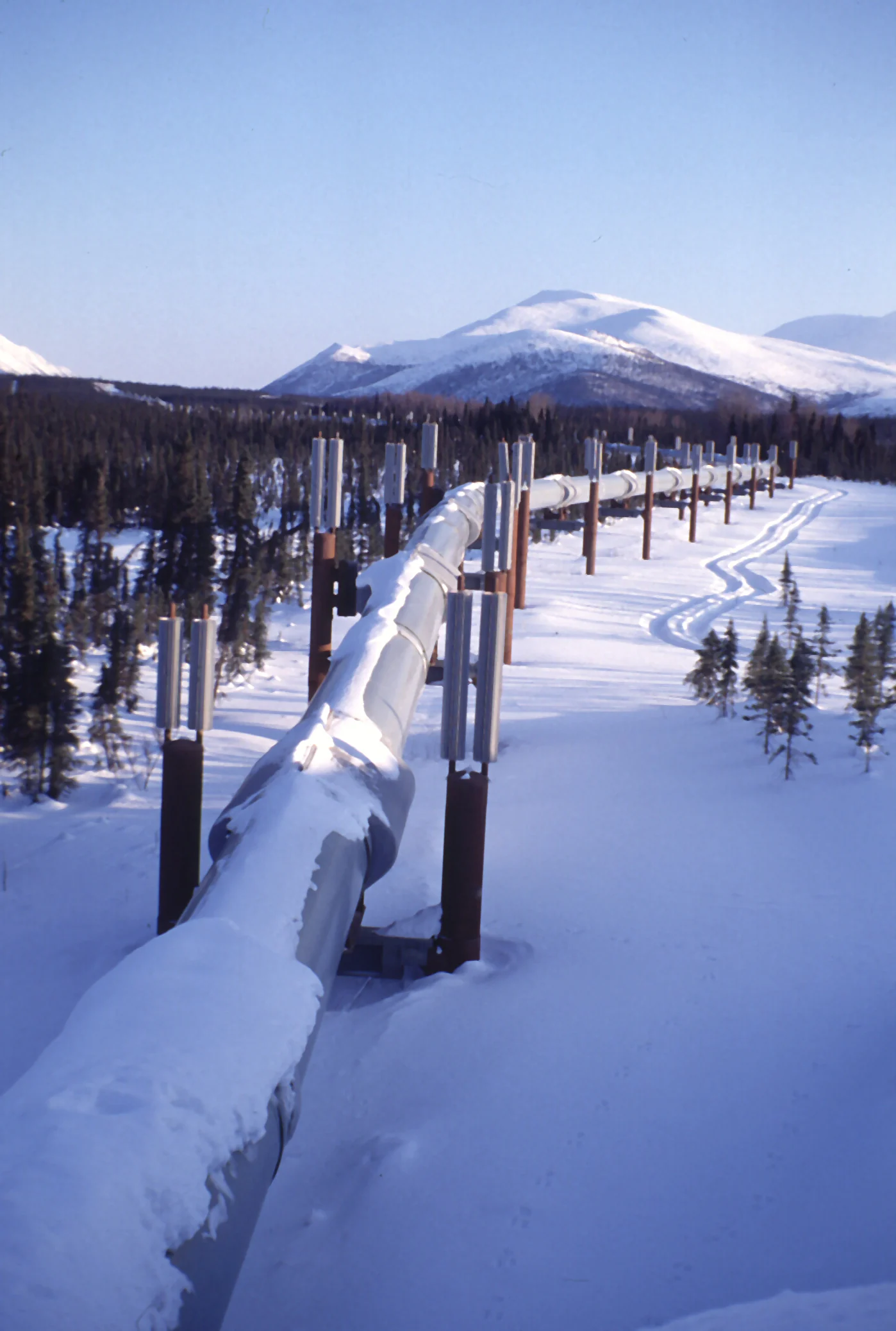 Trans-Alaska oil pipeline surrounded by snow in winter