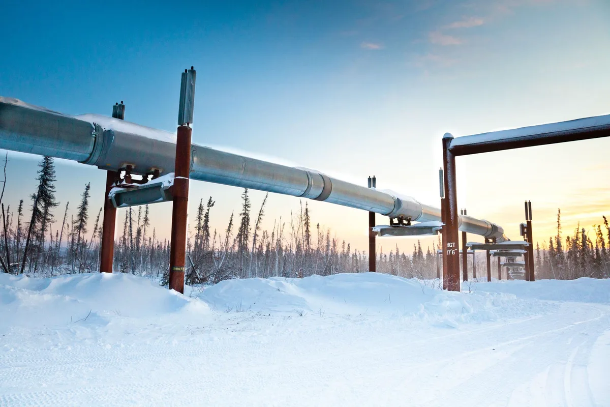 Elevated pipeline and supports in a snow-covered landscape